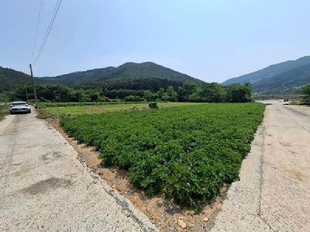 B000421202501300006764.jpg