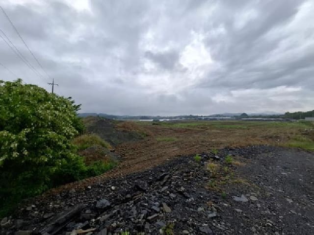 B000421202501300006801.jpg