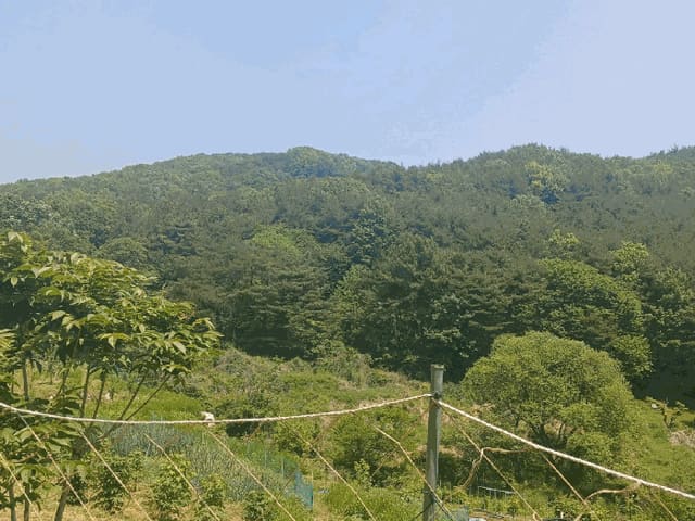 B000421202501300006844.jpg