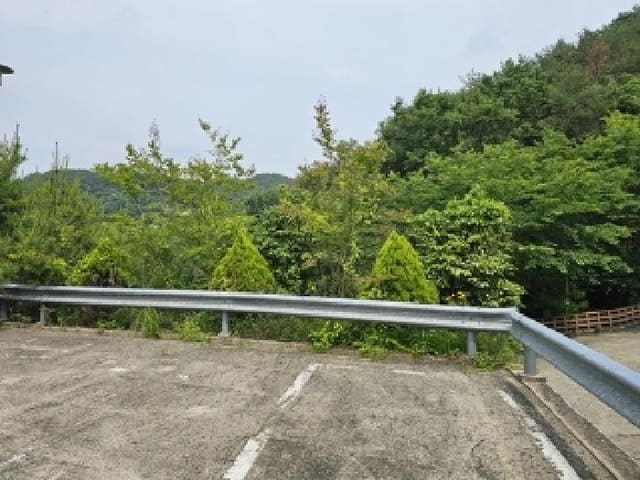 B000421202501300006853.jpg