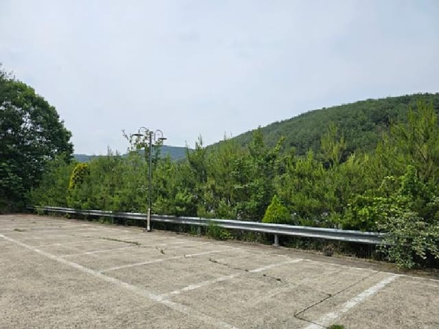 B000421202501300006851.jpg