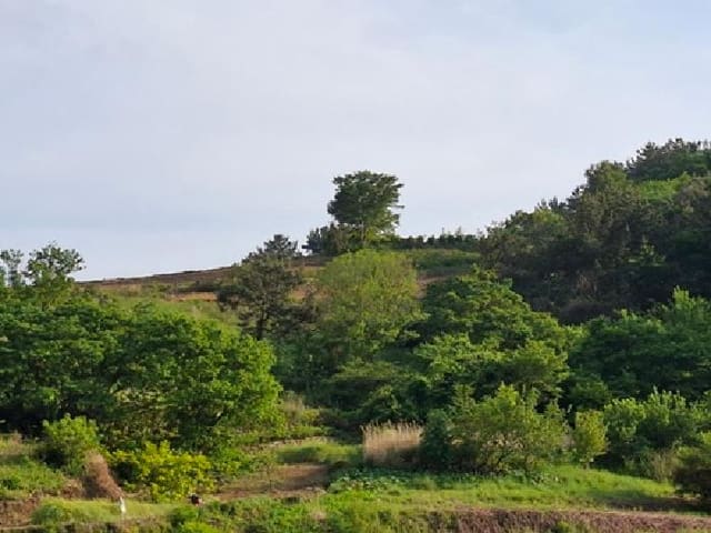 B000421202501300006872.jpg