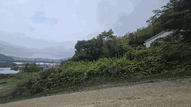 B0004212025013000069114.jpg