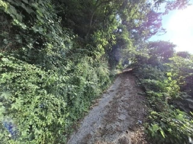 B000421202501300007002.jpg