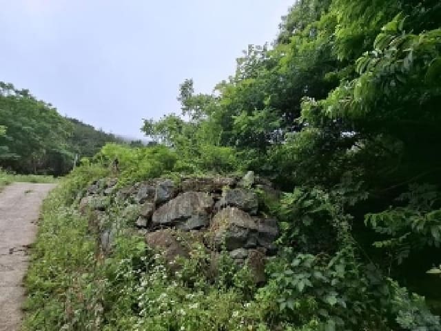 B000421202501300007011.jpg