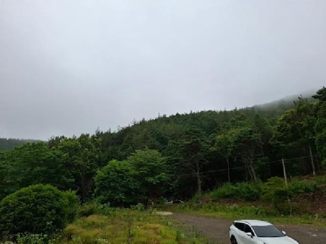B000421202501300007013.jpg