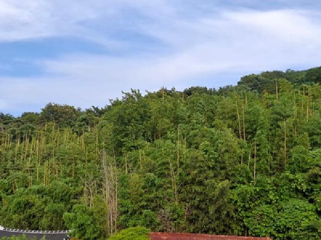 B0004212025013000070641.jpg