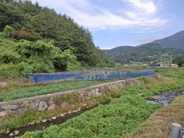 B0004212025013000070640.jpg