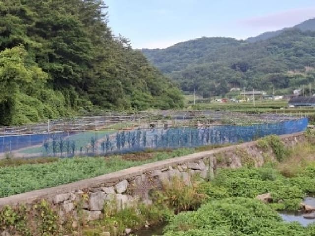 B0004212025013000070639.jpg