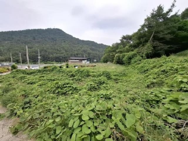 B000421202501300007202.jpg