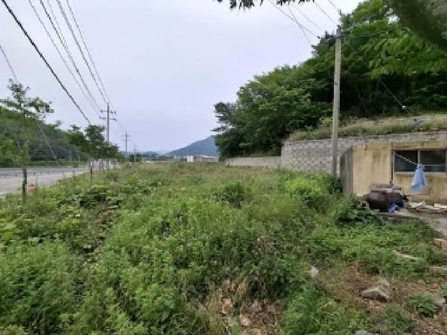B000421202501300007201.jpg