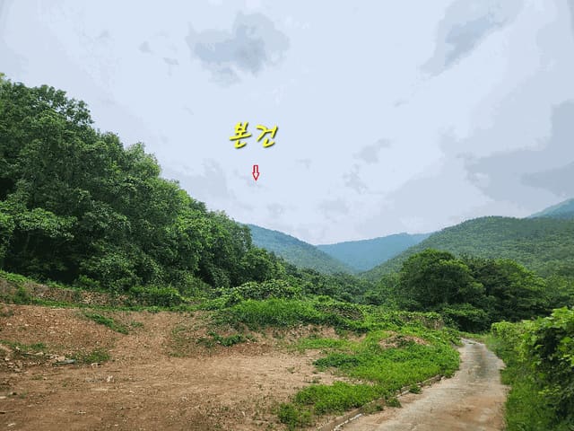 B000421202501300007284.jpg