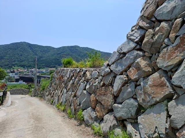B000421202501300007521.jpg