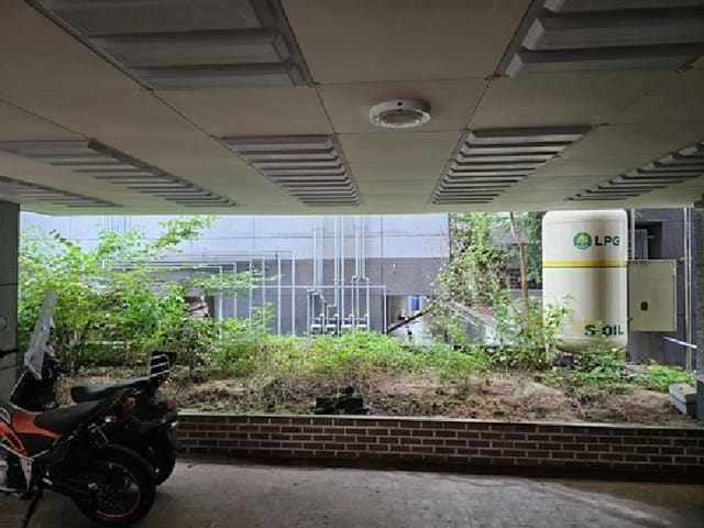 B000421202501300007541.jpg