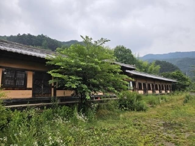 B000421202501300007554.jpg