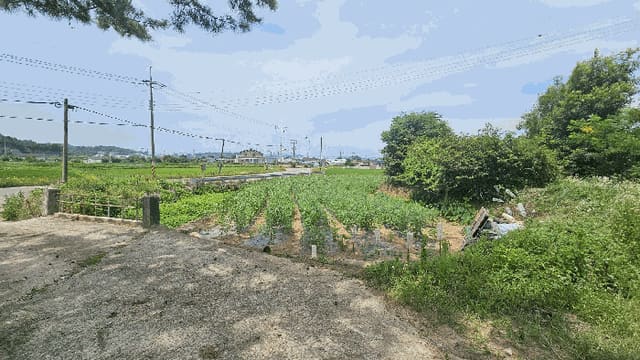 B000421202501300007624.jpg