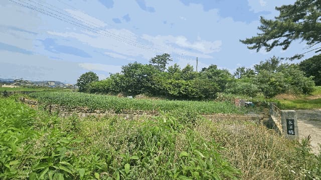 B000421202501300007623.jpg