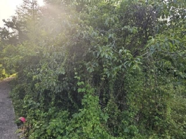 B000421202501300007732.jpg