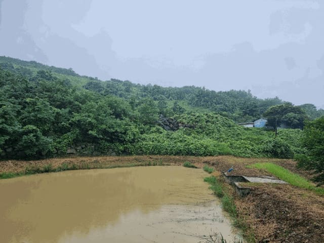 B000421202501300007762.jpg