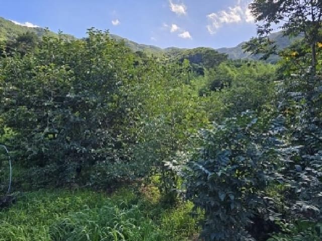 B000421202501300007791.jpg