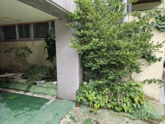 B000421202501300007801.jpg