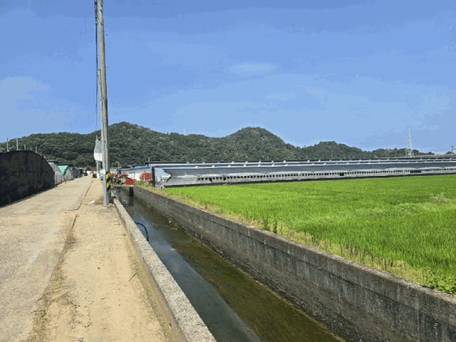 B000421202501300007894.jpg