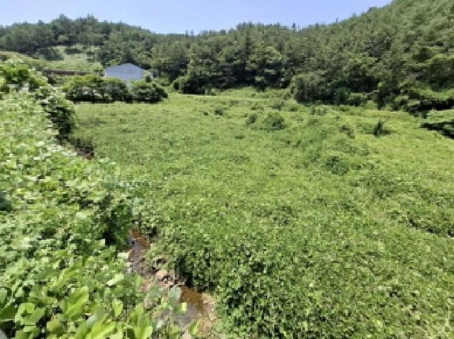 B000421202501300007921.jpg