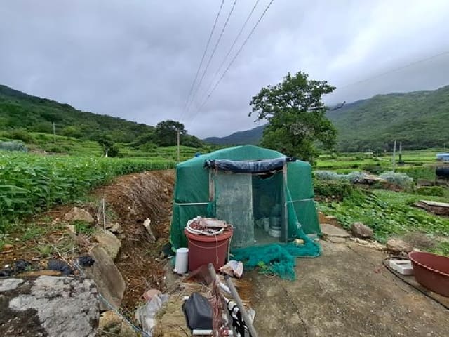 B000421202501300007964.jpg