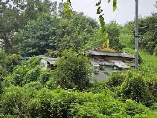 B000421202501300008041.jpg
