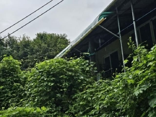 B000421202501300008042.jpg