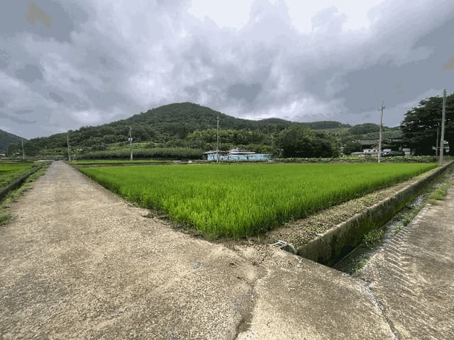 B000421202501300008184.jpg