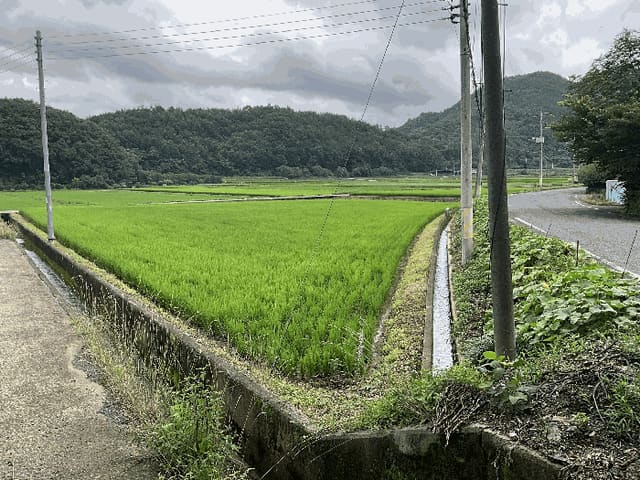 B000421202501300008183.jpg
