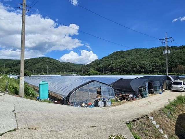 B0004212025013000082124.jpg