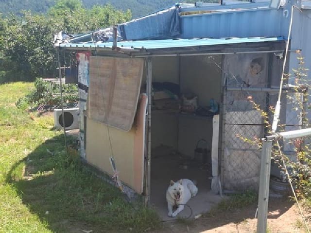 B000421202501300008223.jpg
