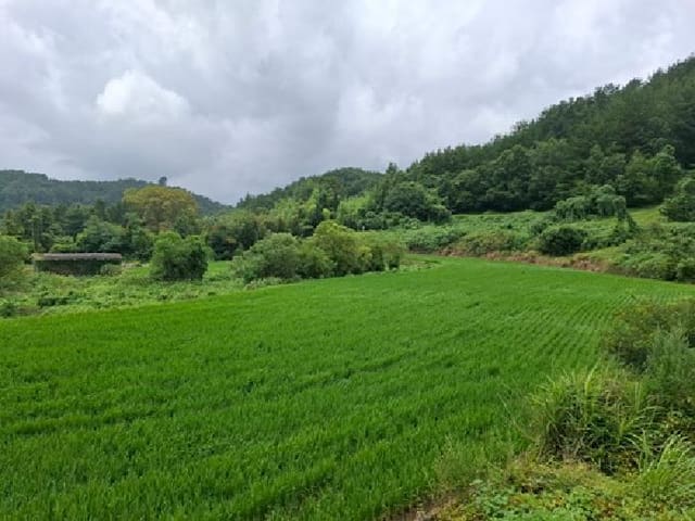 B000421202501300008243.jpg