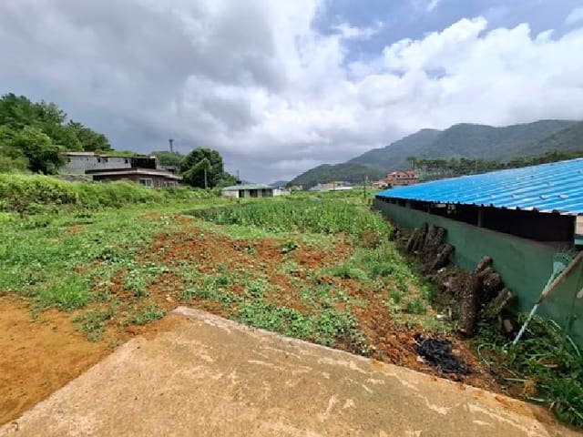 B000421202501300008241.jpg