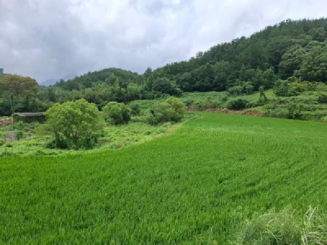 B000421202501300008242.jpg