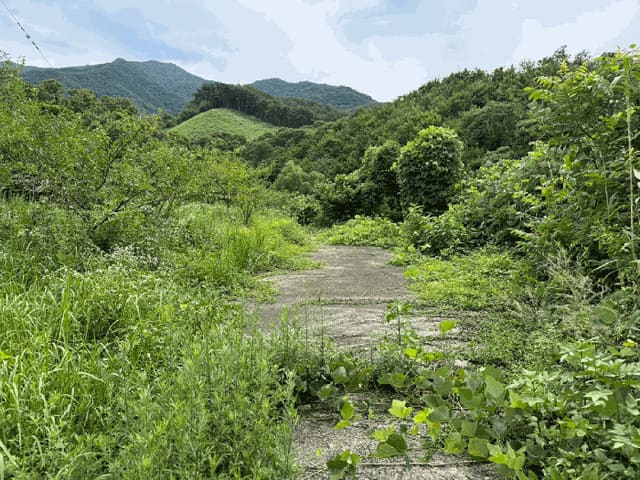 B000421202501300008274.jpg