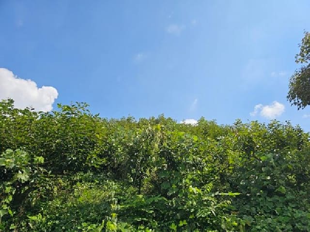 B000421202501300008283.jpg