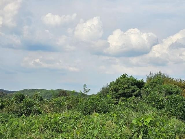 B000421202501300008284.jpg