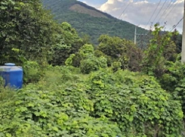 B000421202501300008571.jpg