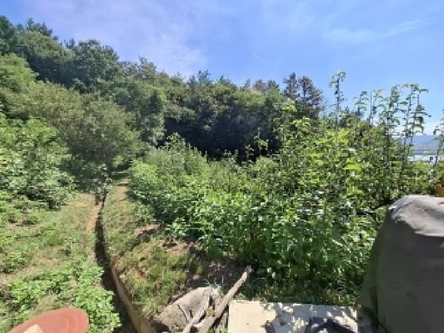 B000421202501300008614.jpg