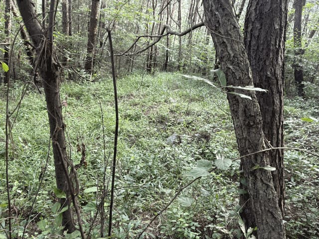 B000421202501300008653.jpg