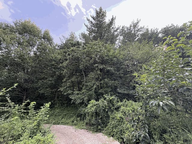 B000421202501300008654.jpg