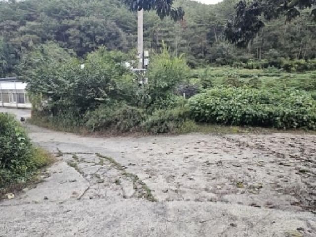 B000421202501300008671.jpg