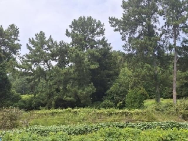 B000421202501300008681.jpg