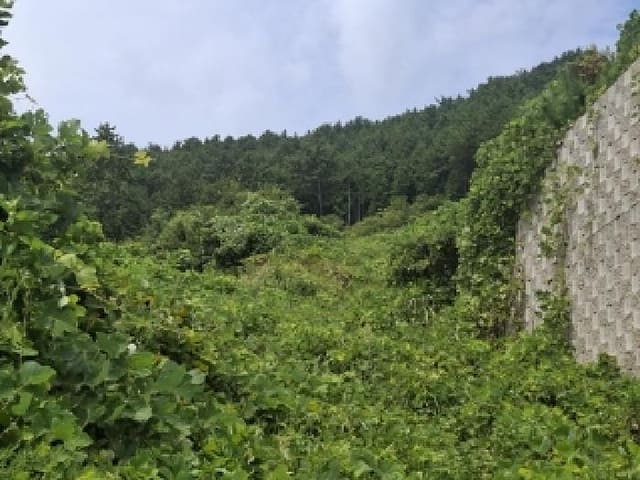 B000421202501300008702.jpg