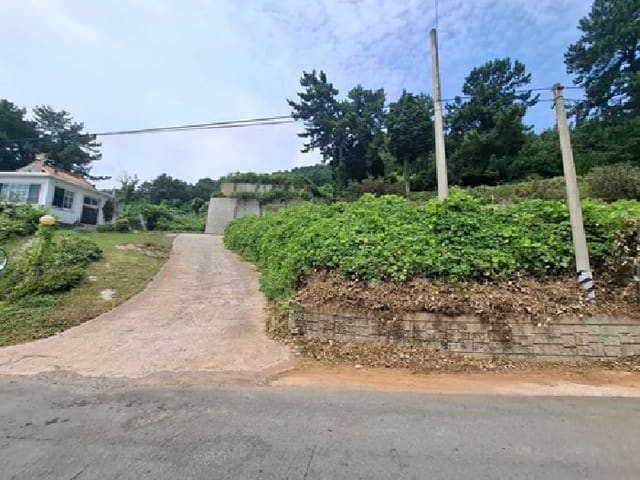 B000421202501300008703.jpg