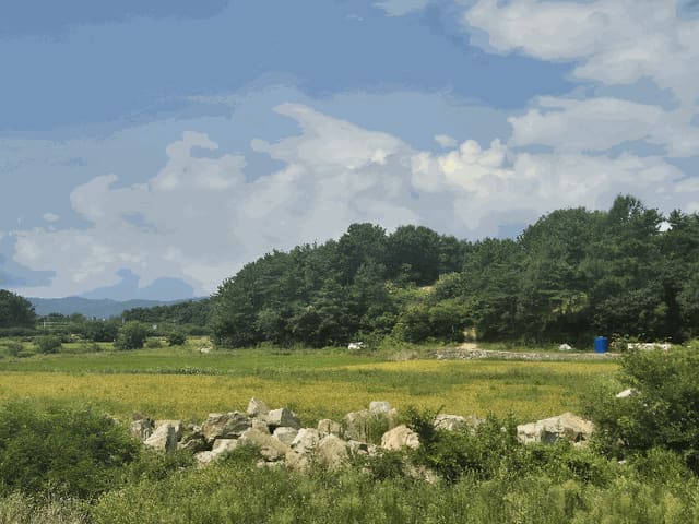 B000421202501300008784.jpg