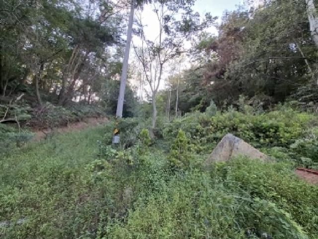B000421202501300008822.jpg
